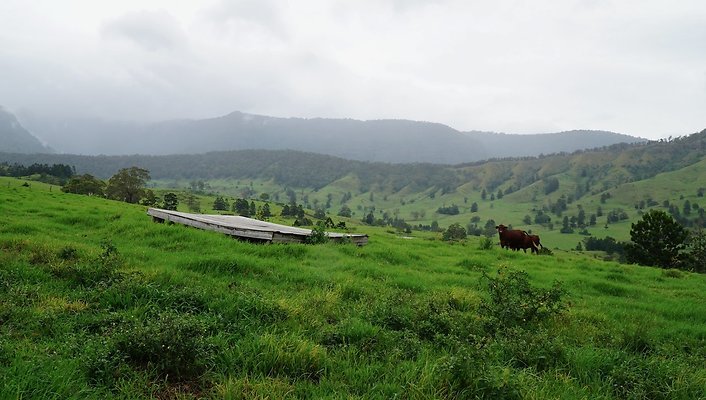 Steinhardt Rd29