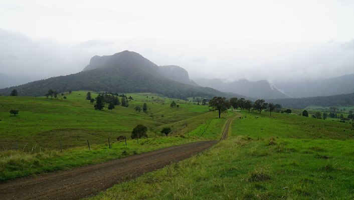 Steinhardt Rd25