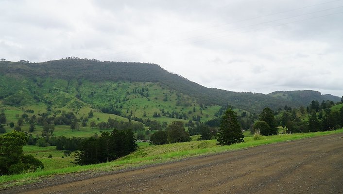 Steinhardt Rd13