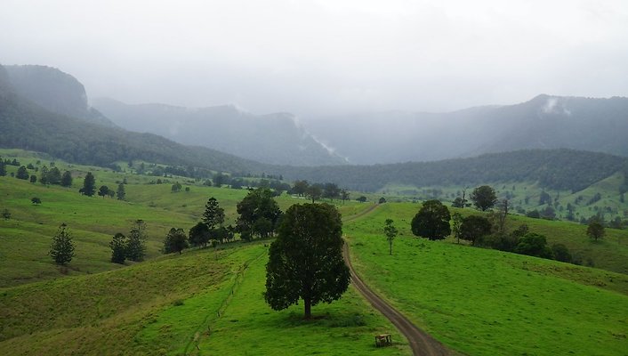 Steinhardt Rd4