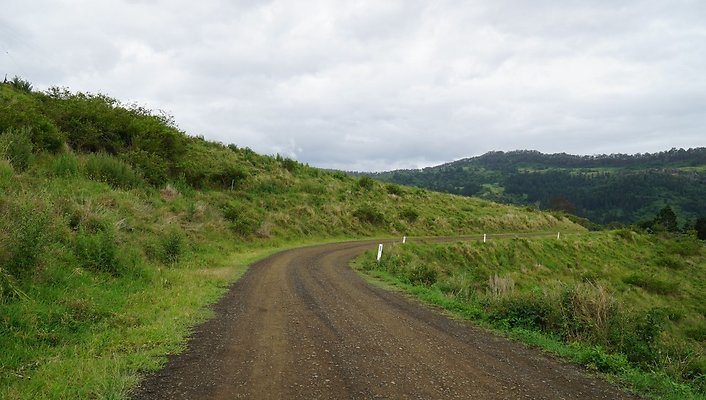 Steinhardt Rd6