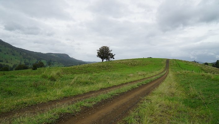 Steinhardt Rd27