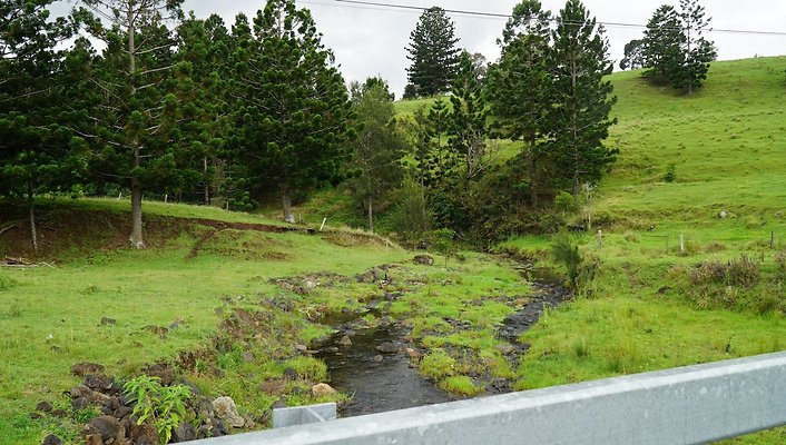 Steinhardt Rd49