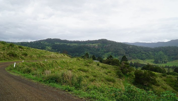 Steinhardt Rd7