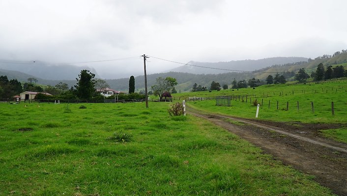 Steinhardt Rd44