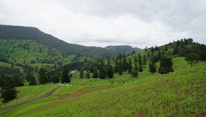 Steinhardt Rd1