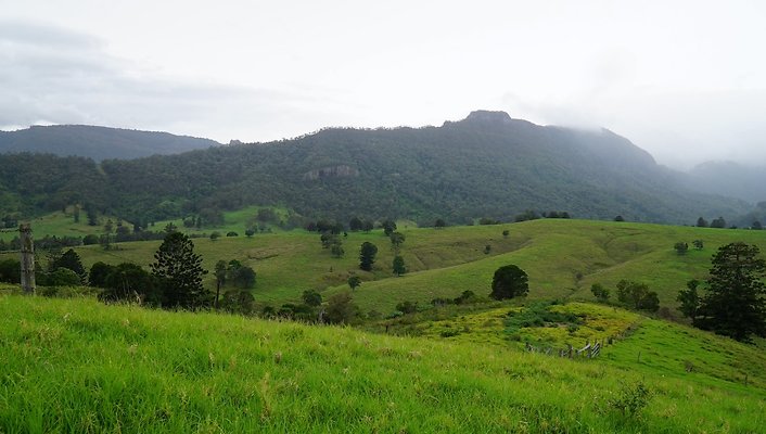 Steinhardt Rd5