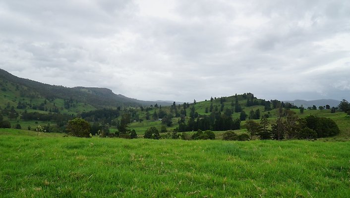 Steinhardt Rd23