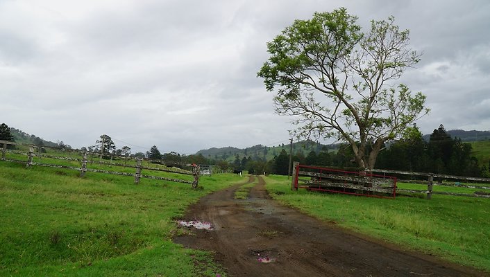 Steinhardt Rd41