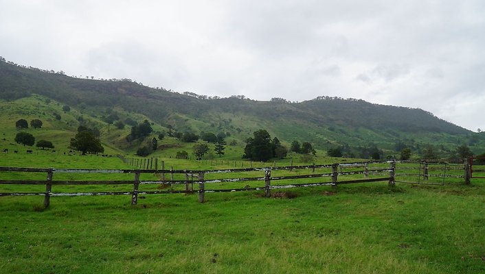 Steinhardt Rd42