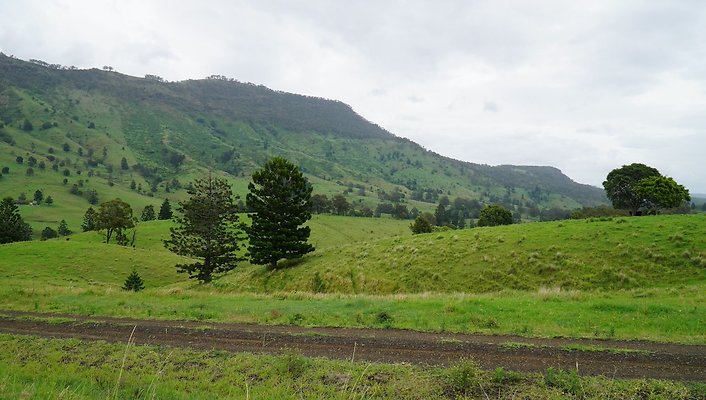 Steinhardt Rd31