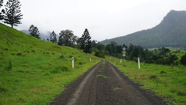 Steinhardt Rd52