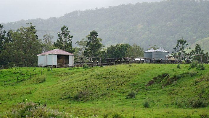 Steinhardt Rd51