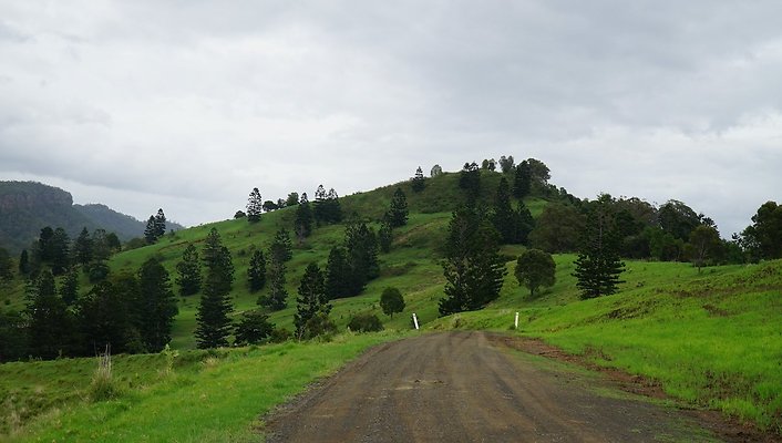 Steinhardt Rd12