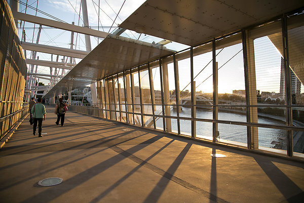 Kurilpa Bridge 013