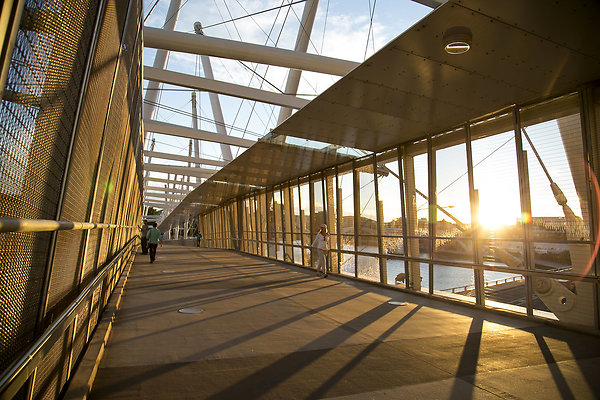 Kurilpa Bridge 010