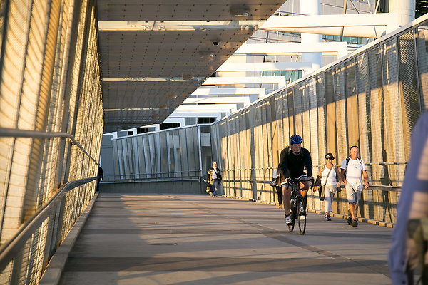 Kurilpa Bridge 037