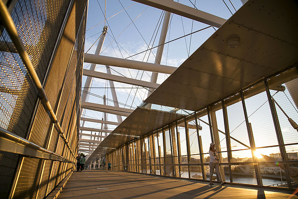 Kurilpa Bridge 011
