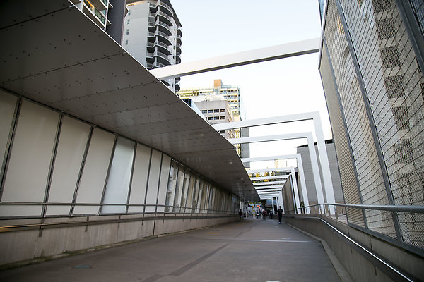 Kurilpa Bridge 003
