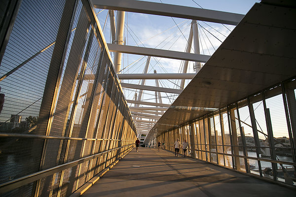 Kurilpa Bridge 006