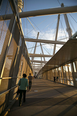 Kurilpa Bridge 008