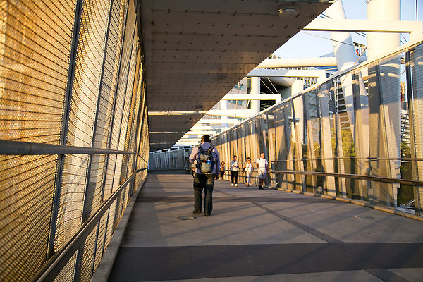 Kurilpa Bridge 038