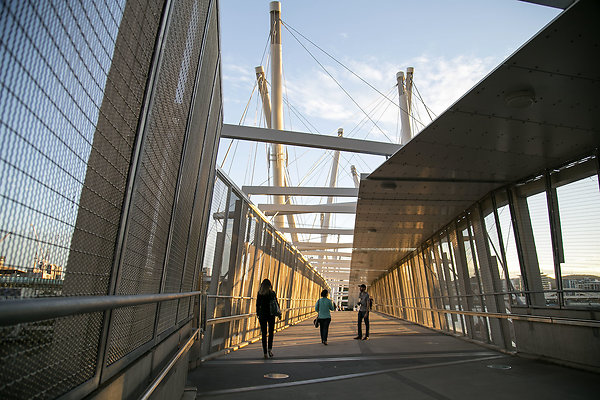 Kurilpa Bridge 004