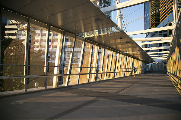 Kurilpa Bridge 015