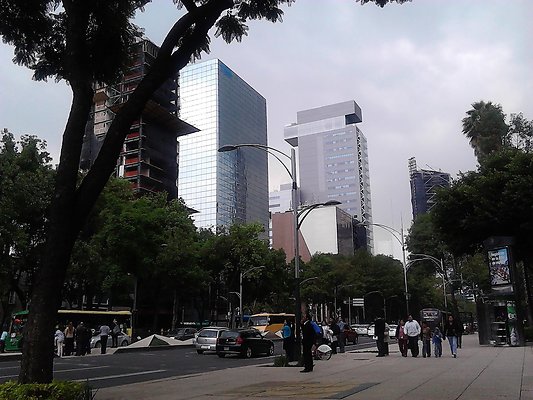 010 Mexico City Skyscrappers