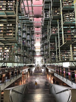 Biblioteca Vasconcelos  - 19