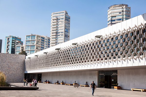 The Museum of Anthropology