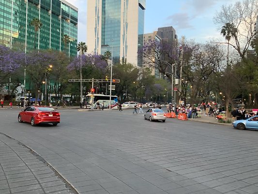 Angel Independencia - 15