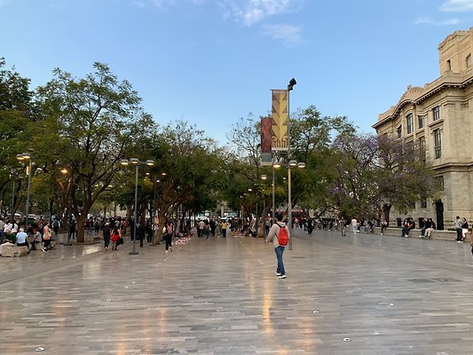 Bellas Artes - Historic Center - 18