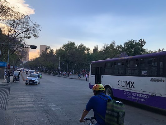 Bellas Artes - Historic Center - 47