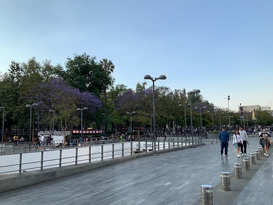 Bellas Artes - Historic Center - 62