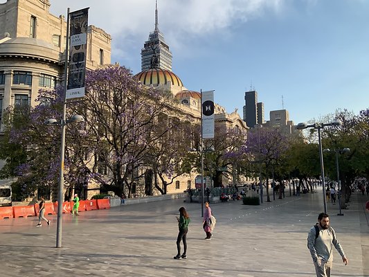 Bellas Artes - Historic Center - 64