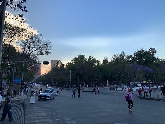 Bellas Artes - Historic Center - 24