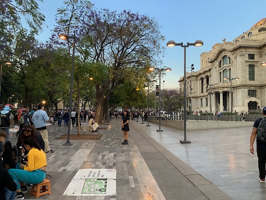 Bellas Artes - Historic Center - 6