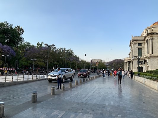 Bellas Artes - Historic Center - 14