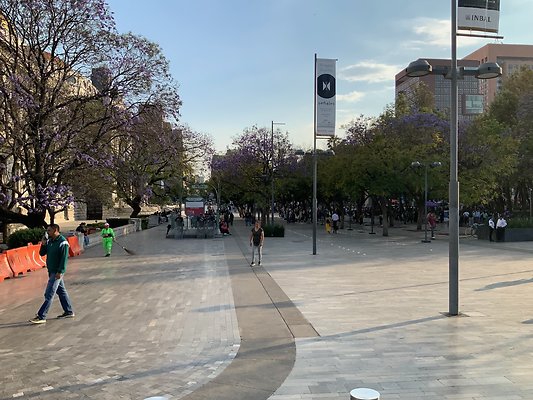 Bellas Artes - Historic Center - 49