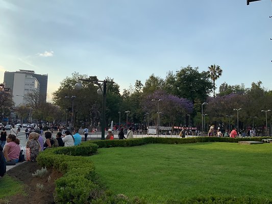 Bellas Artes - Historic Center - 37