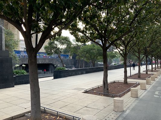 Monumento Revolucion Ground - 56