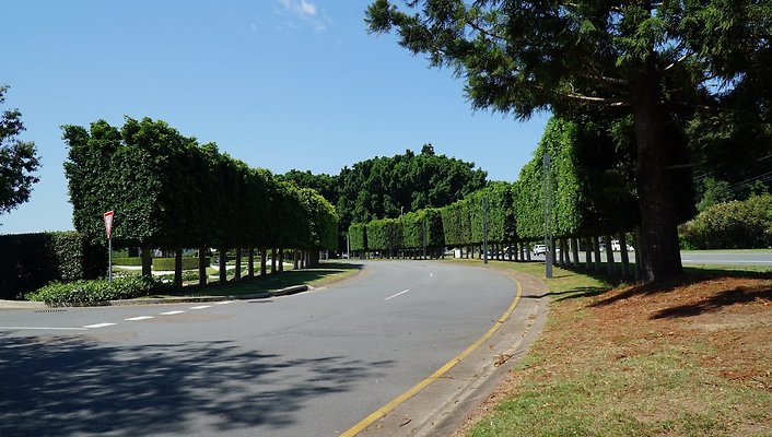 Marina Concorse, Benowa25