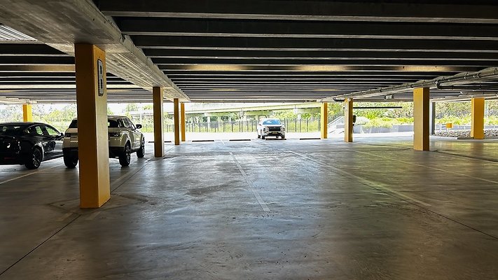 IMG 0743