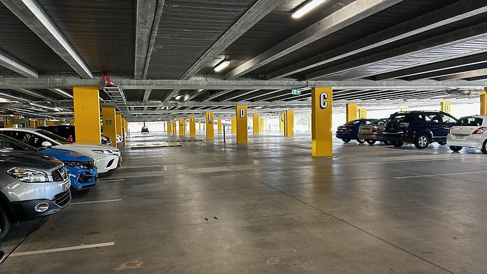 IMG 0742