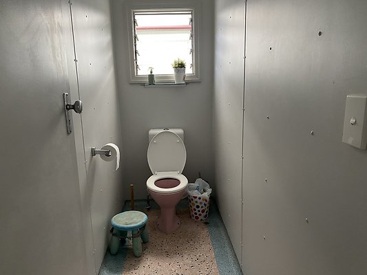 IMG 0542
