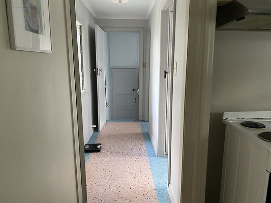 IMG 0537