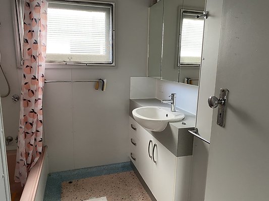 IMG 0541