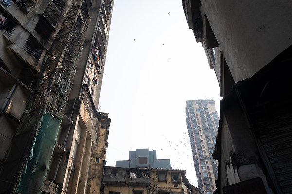 MUMBAI DIRECTOR SCOUT DAY 2-161 MUMBAI DIRECTOR SCOUT DAY 2-161