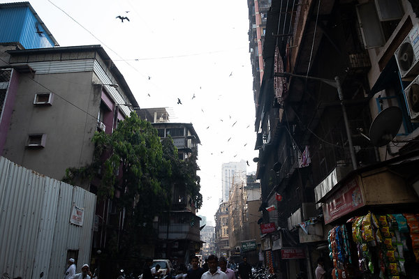 MUMBAI DIRECTOR SCOUT DAY 2-153 MUMBAI DIRECTOR SCOUT DAY 2-153